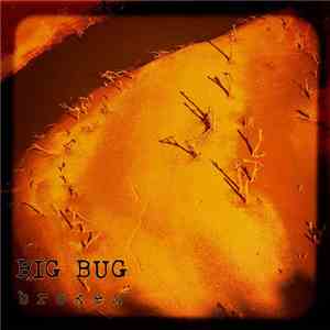 Big Bug  - Broken download free