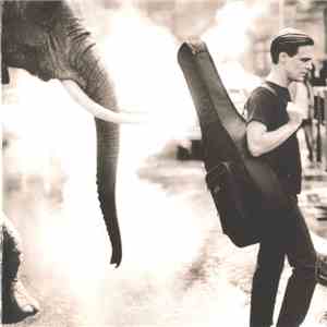 Bryan Adams - On A Day Like Today download free