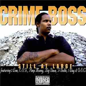 Crime Boss - Still At Large download free