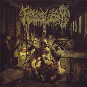 Fleshrot - Decomposition Of Humanity download free