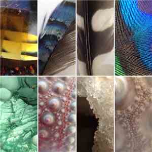 International Debris - Protoform download free