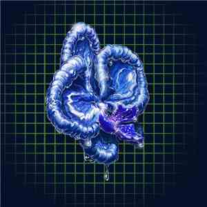 Keisei  - Nyctophilia download free