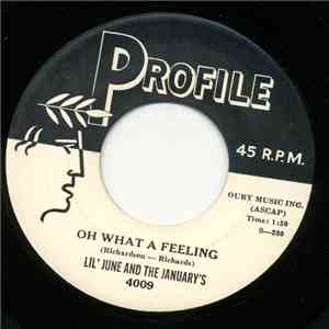Lil' June & The January's - Oh What A Feeling download free