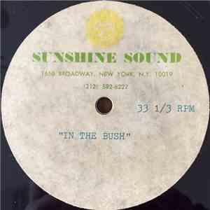 Musique - In The Bush download mp3 flac