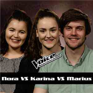 Nora VS Karina VS Marius - Hurts So Good download mp3 flac