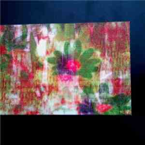 Plurals / Tuluum Shimmering - Plurals / Tuluum Shimmering download free