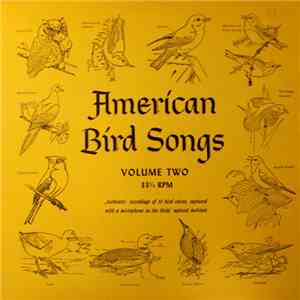 Professor A. A. Allen, Professor P. P. Kellogg - American Bird Songs - Volume Two download free