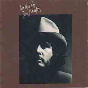Tim Hardin - Bird On A Wire download free