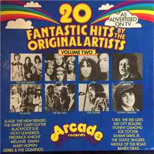 Various - 20 Fantastic Hits By The Original Artists Volume Two download free