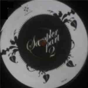 Various - Sampler. Delights Part 2 download free