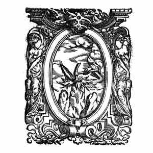 Voidcraeft - With Neither Idols Nor Ideals download free